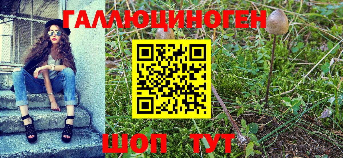 Воткинск  Псилоцибиновые грибы GOLDEN TEACHER  Галлюциногенные грибы MAGIC MUSHROOMS  Вход с VPN 